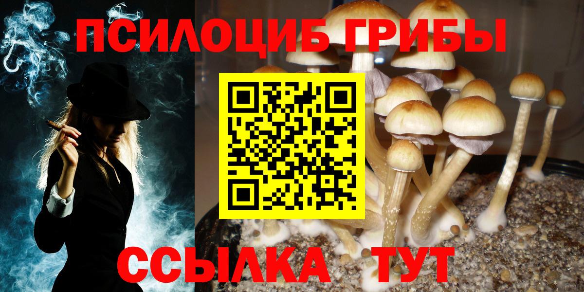 Энгельс  Псилоцибиновые грибы ЛСД  Вход с VPN 