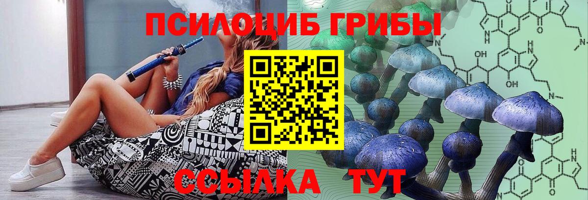 Псилоцибиновые грибы Psilocybine cubensis Энгельс
